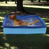 Mini piscina plegable para perros pequeños y cachorros — 50×50 cm, sin inflar