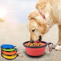 Cuenco plegable de viaje para perros — agua y comida en cualquier sitio