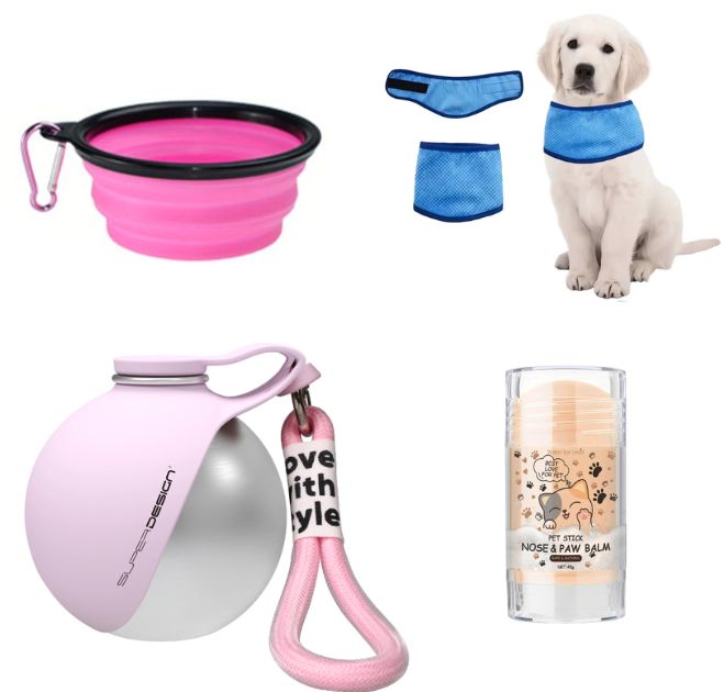 Kit de paseo de verano para perros — todo listo para salir con el calor