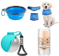 Kit de paseo de verano para perros — todo listo para salir con el calor