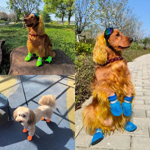 Botas de verano para perros — protegen sus patas del asfalto caliente