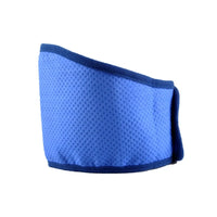 Kit de paseo de verano para perros — todo listo para salir con el calor