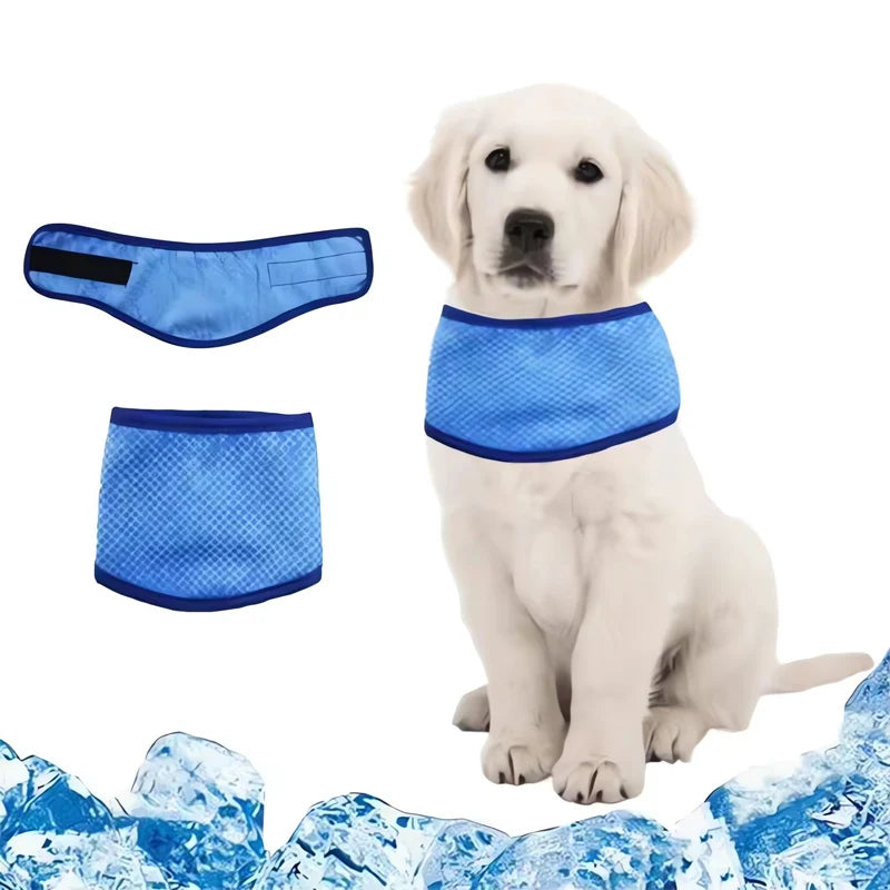 Bandana refrescante para perros — frescor en el cuello en cada paseo