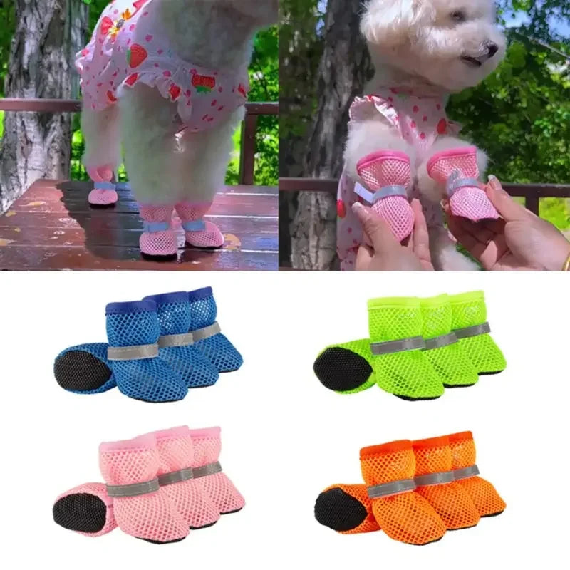 Botas de verano para perros — protegen sus patas del asfalto caliente