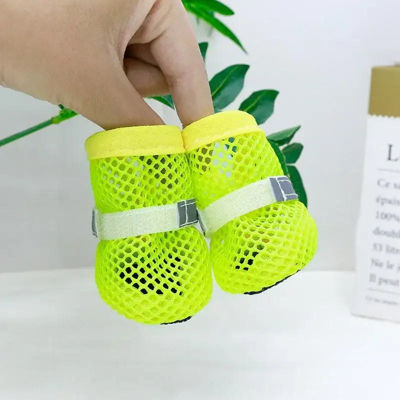 Botas de verano para perros — protegen sus patas del asfalto caliente