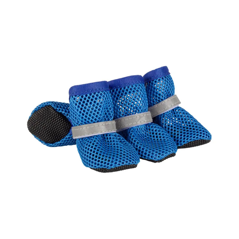 Botas de verano para perros — protegen sus patas del asfalto caliente